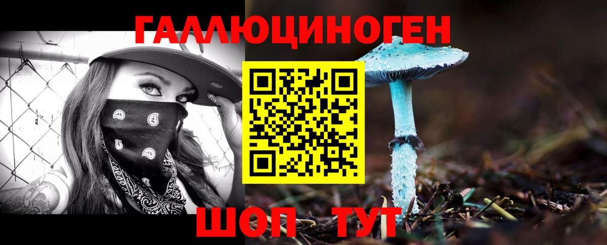 Галлюциногенные грибы Psilocybine cubensis Славянск-на-Кубани